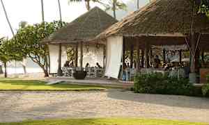 En strandrestaurant med stråtak og åpne sitteplasser, omgitt av vegetasjon og palmer. (AI-generert tekst)