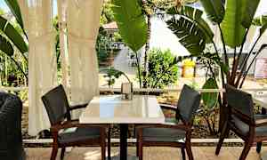 Et bord med to stoler utendørs, omgitt av store grønne planter. (AI-generert tekst)