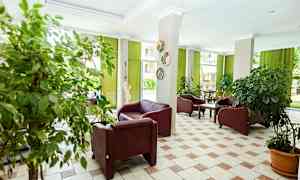 Et innredet rom med skinnstoler, grønne planter i potter og grønne gardiner som slipper inn lys fra store vinduer. (AI-generert tekst)