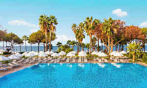 Et utendørs basseng med solsenger og parasoller omgitt av palmer og trær. (AI-generert tekst)