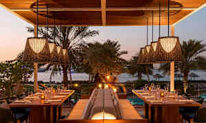 En utendørs restaurant med utsikt over havet, omgitt av planter og palmer. Bordene er dekket med glass og tallerkener, og taklamper henger ovenfor. (AI-generert tekst)