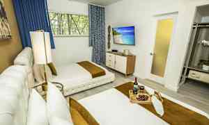 Et lyst soverom med to senger, en TV på veggen og et brett med vin og druer. (AI-generert tekst)