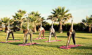 Personer som utfører yoga på gressplen med palmer i bakgrunnen. (AI-generert tekst)