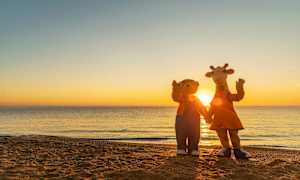 To maskoter står på en strand foran en solnedgang, vendt mot kameraet. (AI-generert tekst)
