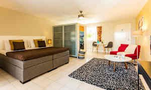 Studio Deluxe med balkong eller terrasse