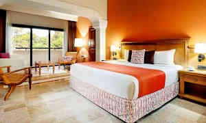 Juniorsuite mot hagen