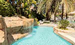 Et basseng med klart vann omgitt av palmer og grønne planter. (AI-generert tekst)