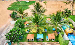 En strand med palmer, solsenger og parasoller. Et bassengområde er synlig i forgrunnen. (AI-generert tekst)