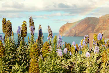 Madeira