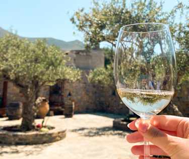 Lokal vin og olivenolje!