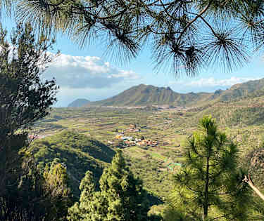 Genuine Tenerife