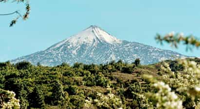 Snødekt fjell med grøntområder i forgrunnen. (AI-generert tekst)