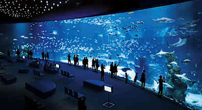 Folk står ved et stort akvarium som viser ulike fisker og haier. (AI-generert tekst)