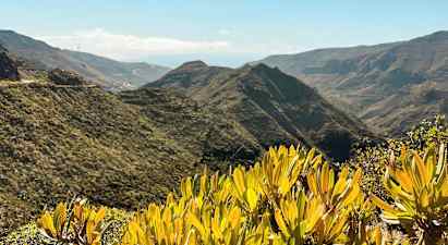 Utsikt over berglandskap med grønn vegetasjon og busker i forgrunnen. (AI-generert tekst)