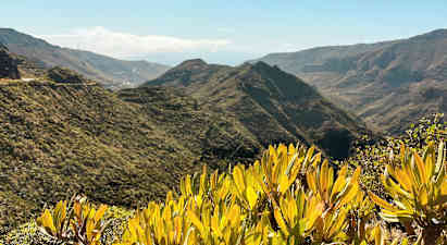 Utsikt over berglandskap med grønn vegetasjon og busker i forgrunnen. (AI-generert tekst)