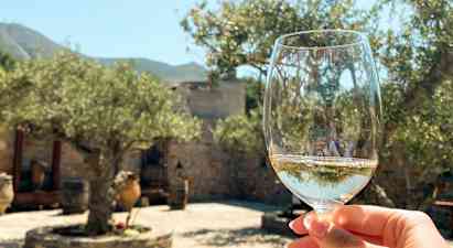 Et vinglass holdes opp mot bakgrunnen av oliventrær og et steinmurpreget landskap. (AI-generert tekst)