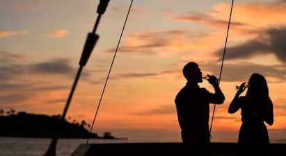 Silhuetter av to personer som holder glass ved solnedgang med havet og en liten øy i bakgrunnen. (AI-generert tekst)