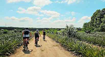 Tre personer sykler på en grusvei gjennom et tropisk landskap. (AI-generert tekst)