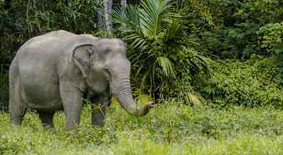 Following Giants Sanctuary