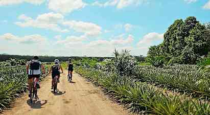 Nordlige Phuket på sykkel