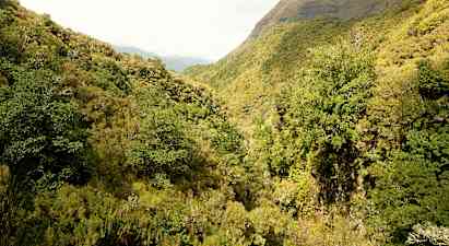 Levada Caldeirao Verde – 13 km