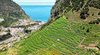 Jeepsafari Wine & Sky Walk - nordlige Madeira