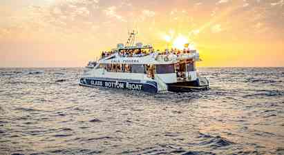 Soloppgang og delfiner