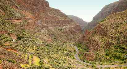 Guayadequedalen