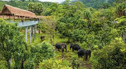 Phuket Elephant Sanctuary