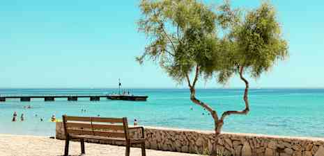 En parkbenk ved en steinmur med et ensomt tre i forgrunnen, og mennesker bader i havet med en brygge i bakgrunnen. (AI-generert tekst)