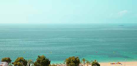 Utsikt over en strand med sand, trær og hav. (AI-generert tekst)