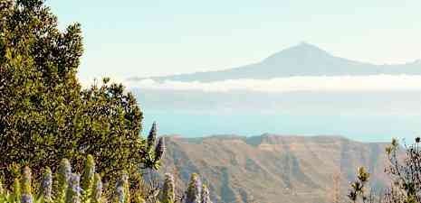 Utsikt over fjell med vegetasjon i forgrunnen og en større fjelltopp i det fjerne. (AI-generert tekst)