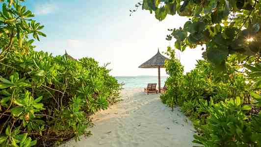 En sandvei går gjennom grønn vegetasjon mot to solsenger under et stråtak på en strand med havutsikt. (AI-generert tekst)