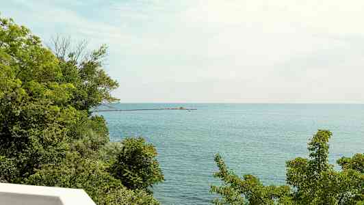 Utsikt over havet med grønt løvverk i forgrunnen og en brygge som strekker seg ut i vannet. (AI-generert tekst)