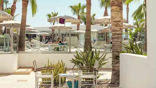 Solstoler og parasoller ved et bassengområde omgitt av palmer. (AI-generert tekst)