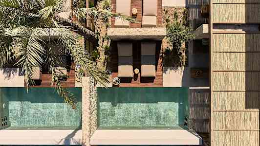 Sett ovenfra: solsenger og to bassenger med en palme ved siden av. (AI-generert tekst)