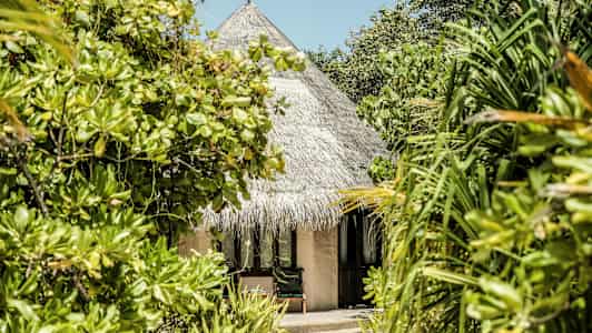 En bungalow med stråtak omgitt av tropiske planter. (AI-generert tekst)