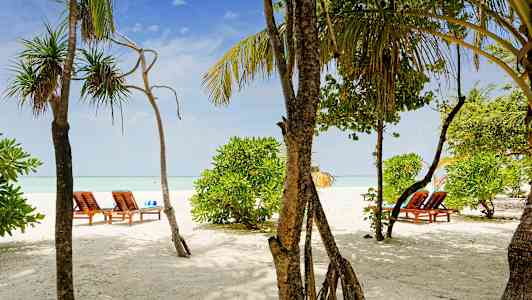 En sandstrand med solsenger og grønne trær. (AI-generert tekst)