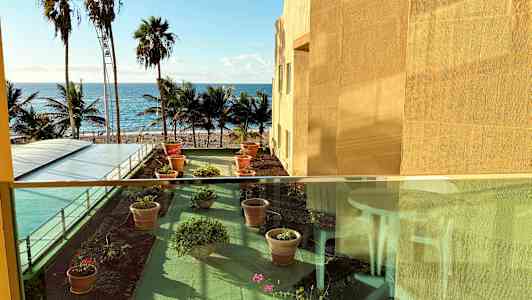 Utsikt over en terrasse med blomsterpotter, med palmer og havet i bakgrunnen. (AI-generert tekst)