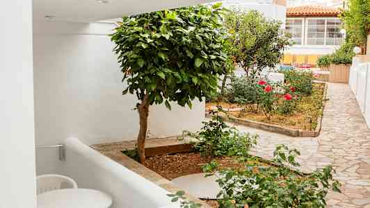 En liten hage med grønne planter, blomster og steinlagt gangvei ved hvite bygninger. (AI-generert tekst)