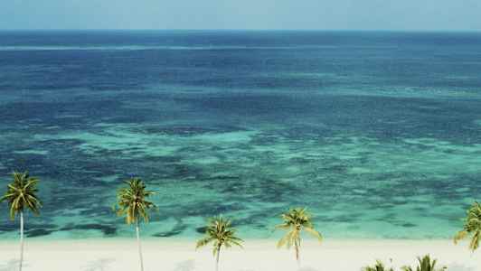 Hvit sandstrand med palmer og tydelige bølger i det turkise havet. (AI-generert tekst)