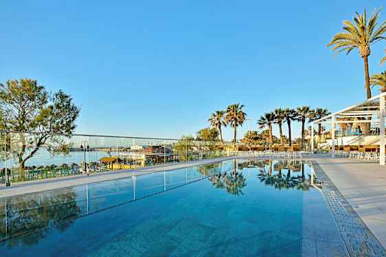 Utendørs basseng med utsikt over palmer og en klar blå himmel. (AI-generert tekst)