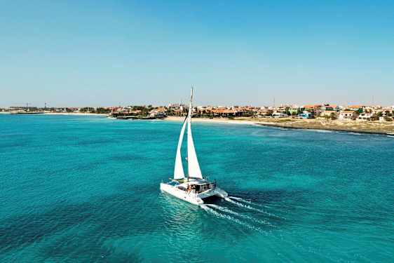 En katamaran med hvite seil seiler over turkis vann nær en kyst med hus i ulike farger. (AI-generert tekst)