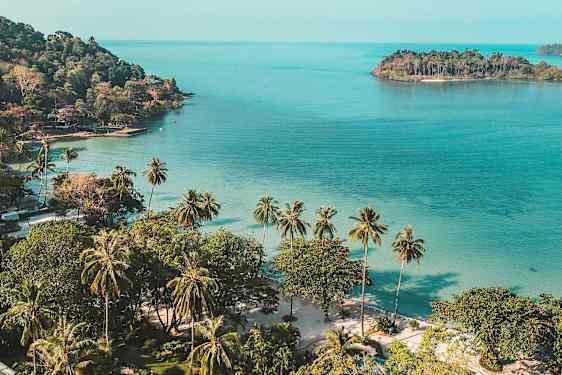 Strand med palmer, klart blått hav og en liten øy i bakgrunnen. (AI-generert tekst)