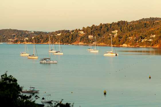 Flere seilbåter i en bukt med skogkledde åser og hus i bakgrunnen. (AI-generert tekst)