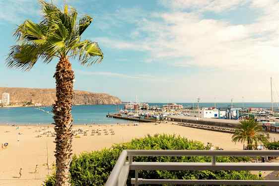 En strand med solsenger og parasoller, en havn med båter og en palme i forgrunnen. (AI-generert tekst)