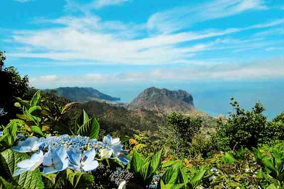Utsikt over et fjellandskap med blå himmel og blomster i forgrunnen. (AI-generert tekst)