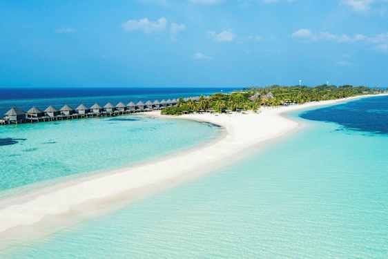 En tropisk strand med klare blått vann, sand og palmer, samt vannbungalower på stylter. (AI-generert tekst)