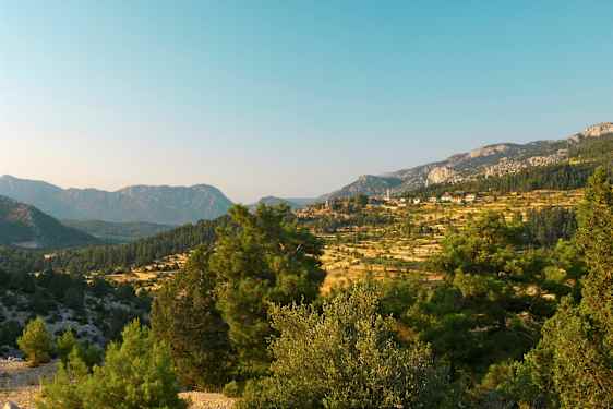 Et landskap med fjell og trær i forgrunnen. (AI-generert tekst)