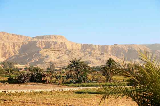 Ørkenlandskap med fjell i bakgrunnen og vegetasjon i forgrunnen. (AI-generert tekst)